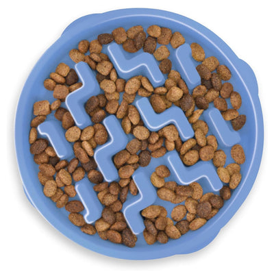 Fun Feeder Slo-Bowl | Blue Notch