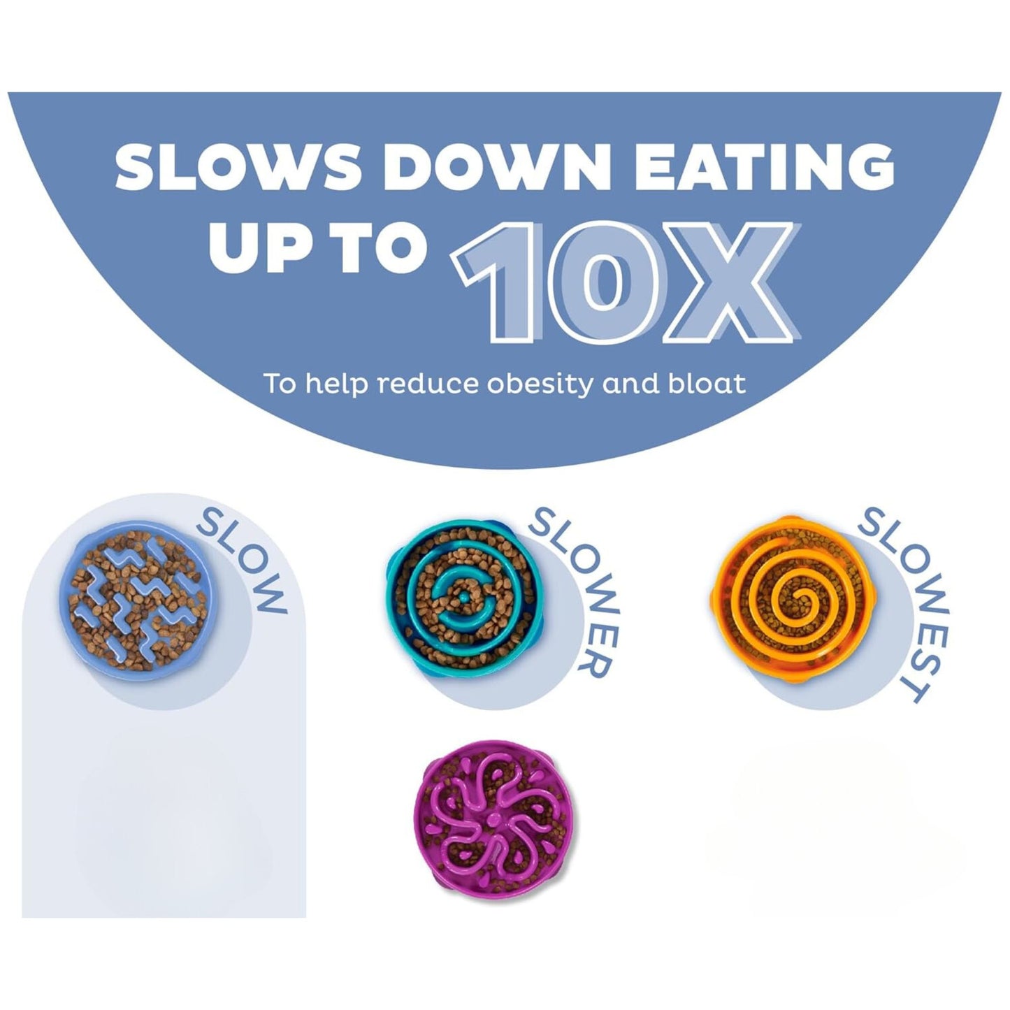 Fun Feeder Slo-Bowl | Purple Flower - Peticular