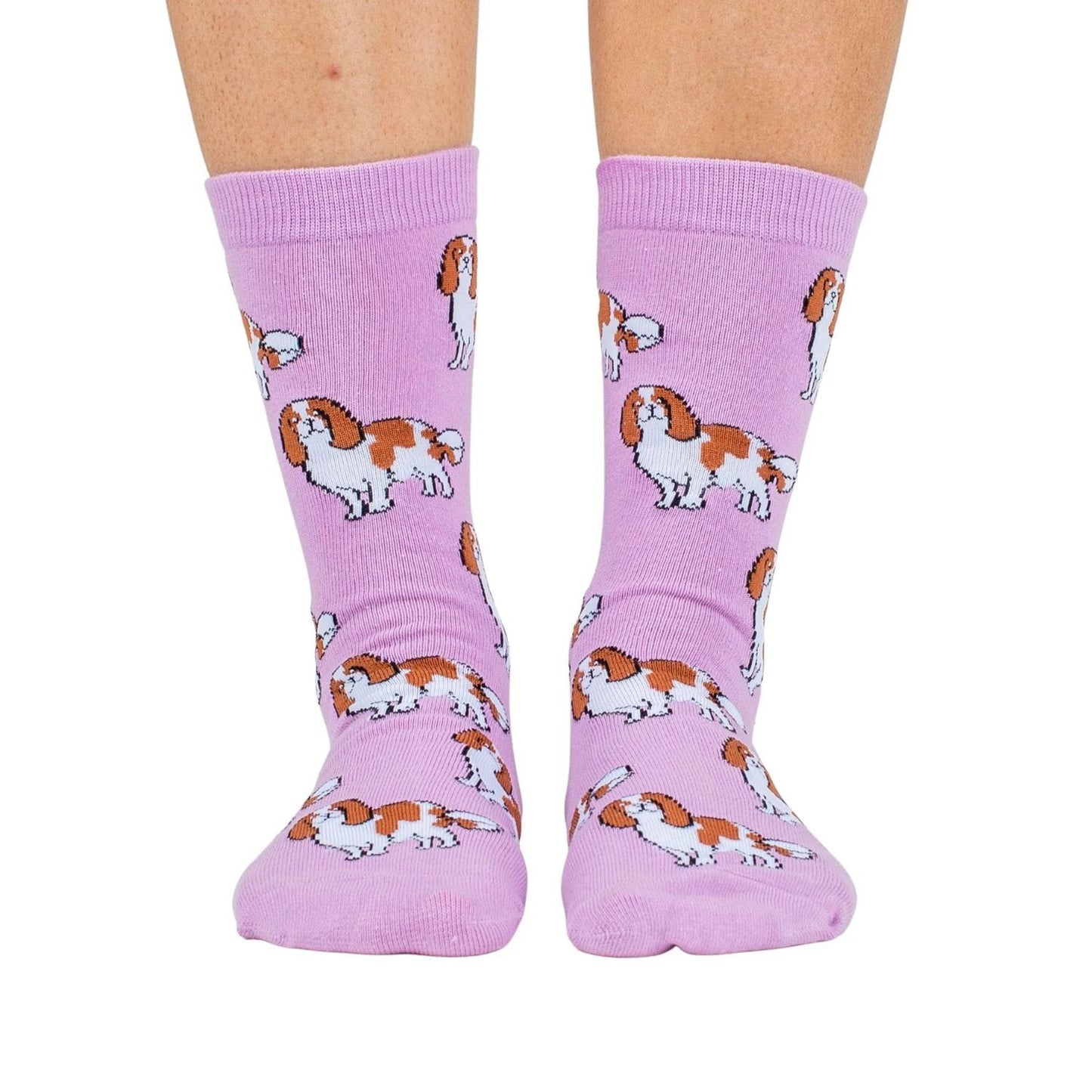 Dog Breed Socks | Cavalier King Charles