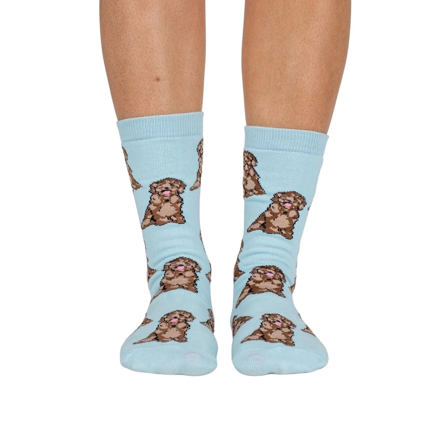 Dog Breed Socks | Cavoodle