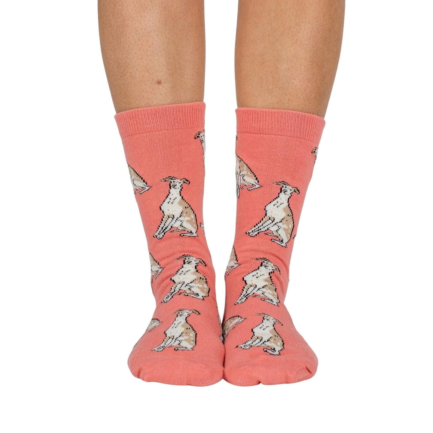 Dog Breed Socks | Italian Greyhound