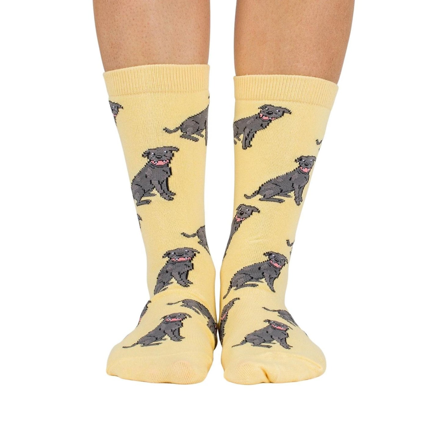 Dog Breed Socks | Staffy