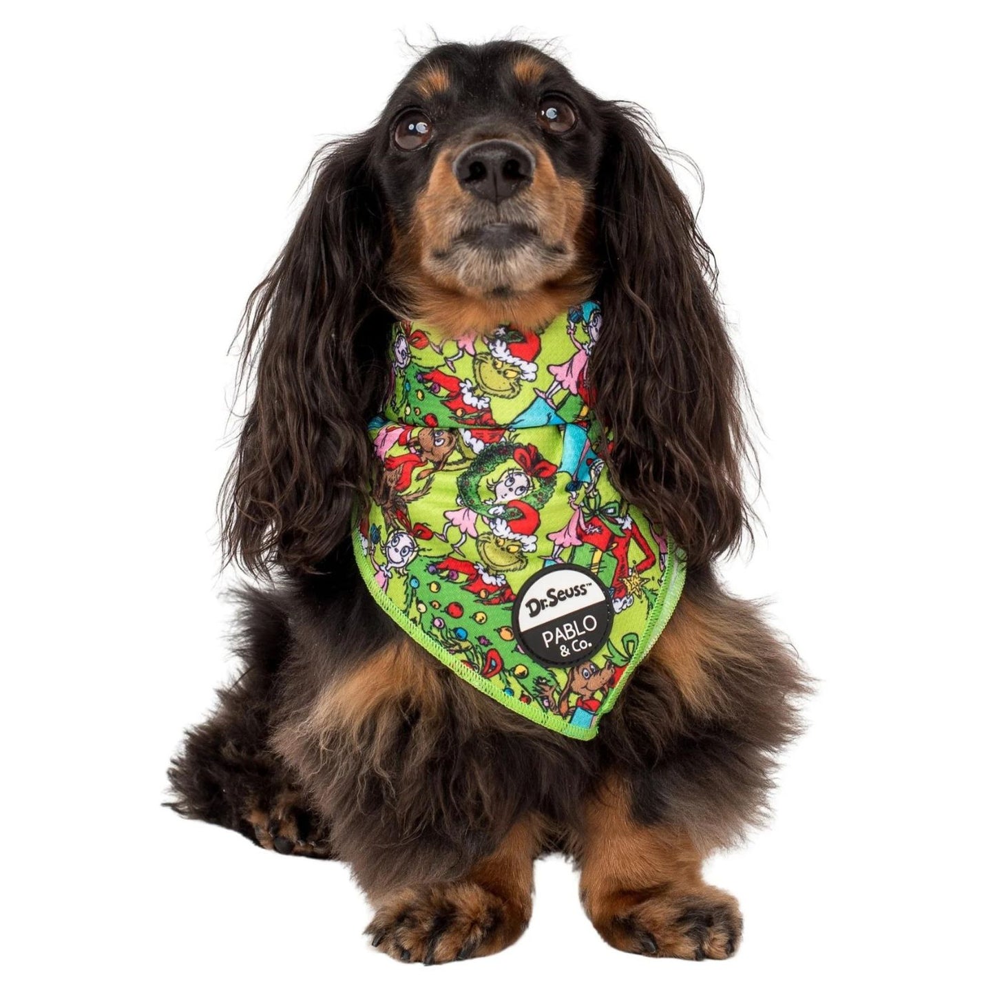 Dr. Seuss' Who-Ville | Dog Bandana