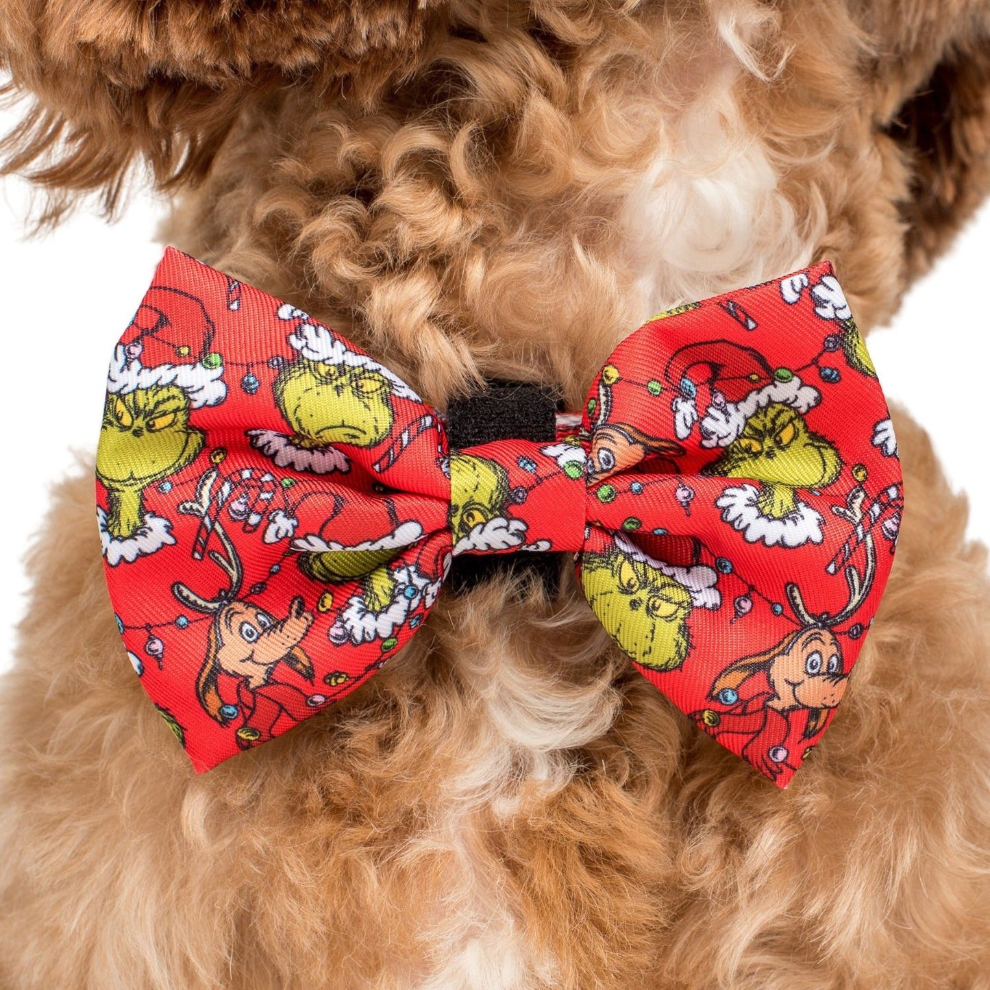 Dr. Seuss' The Grinch | Dog Bow Tie