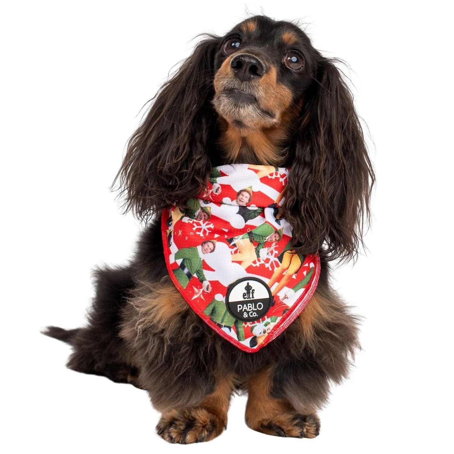 ELF: OMG! SANTA! | Dog Bandana