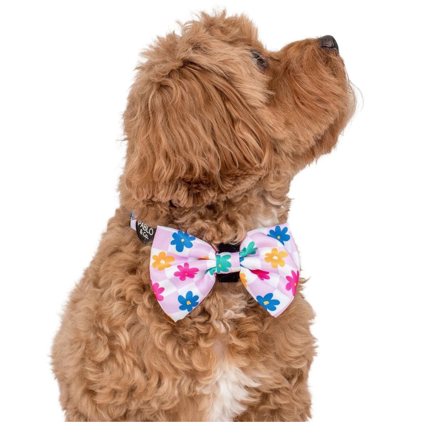 Delightful Daisies Bow Tie