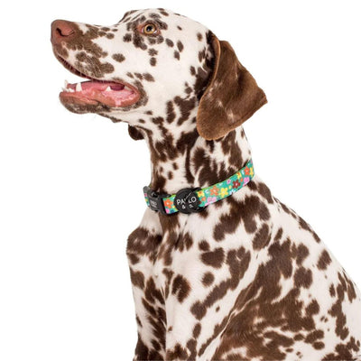 Funky Flowers Dog Collar