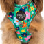 Funky Flowers | Adjustable Dog Harness