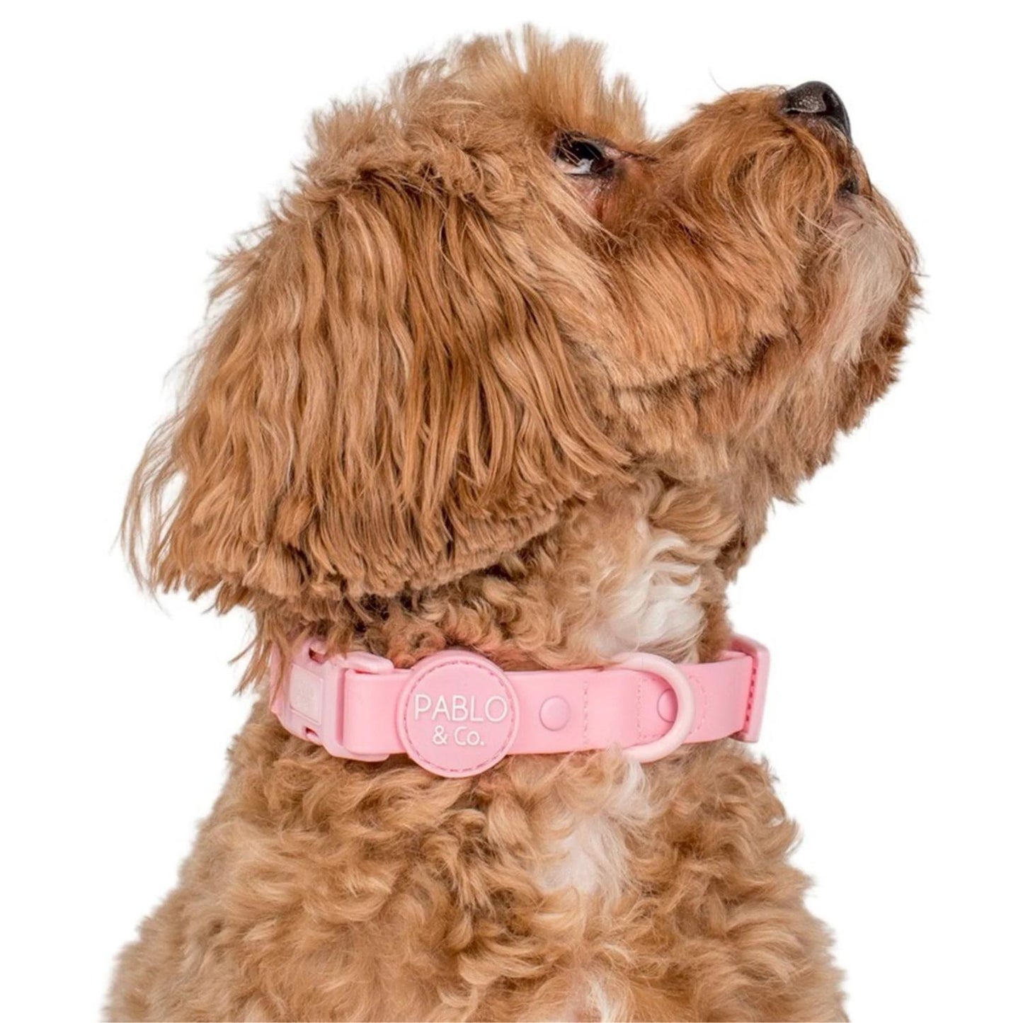 Bubblegum Waterproof Collar