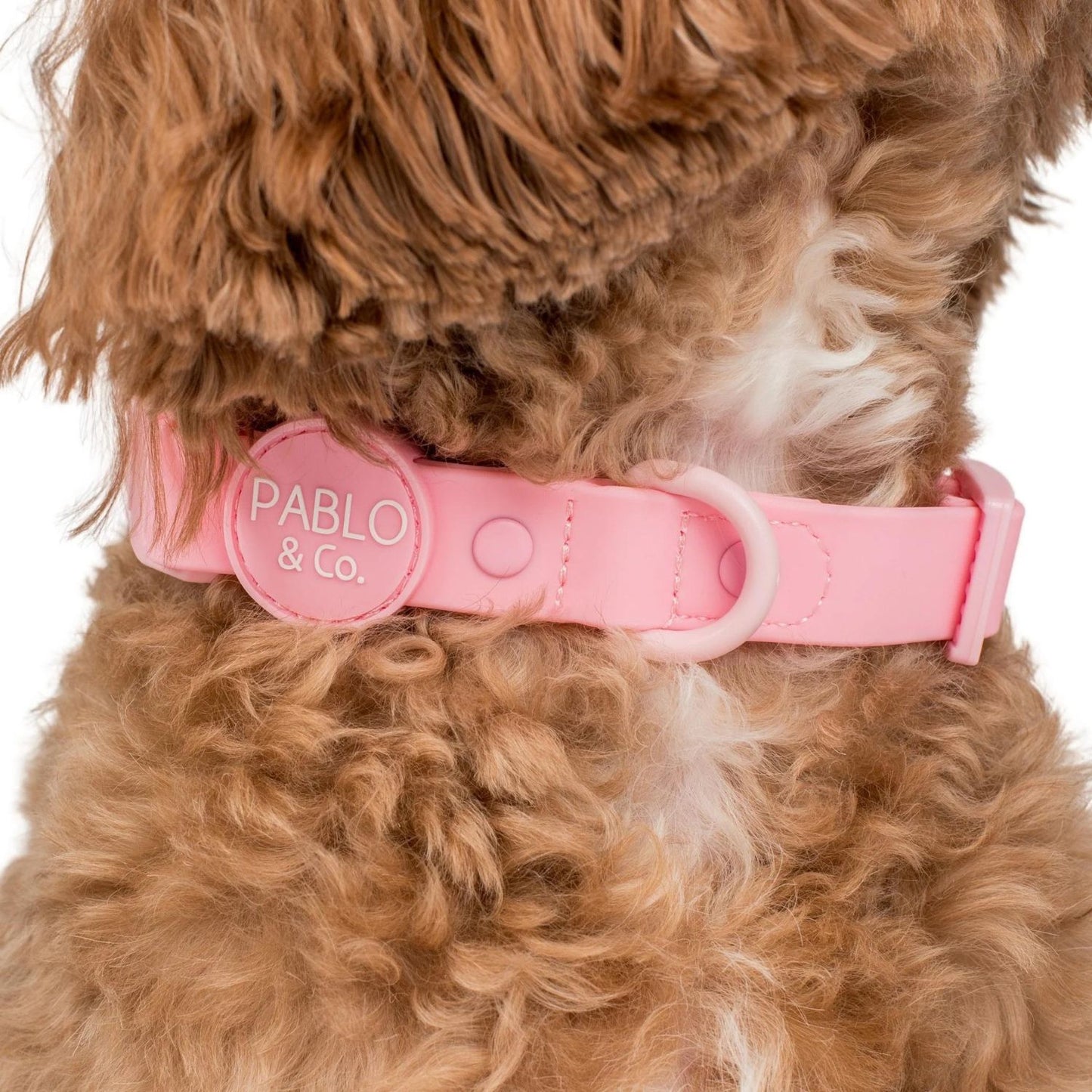 Bubblegum Waterproof Collar