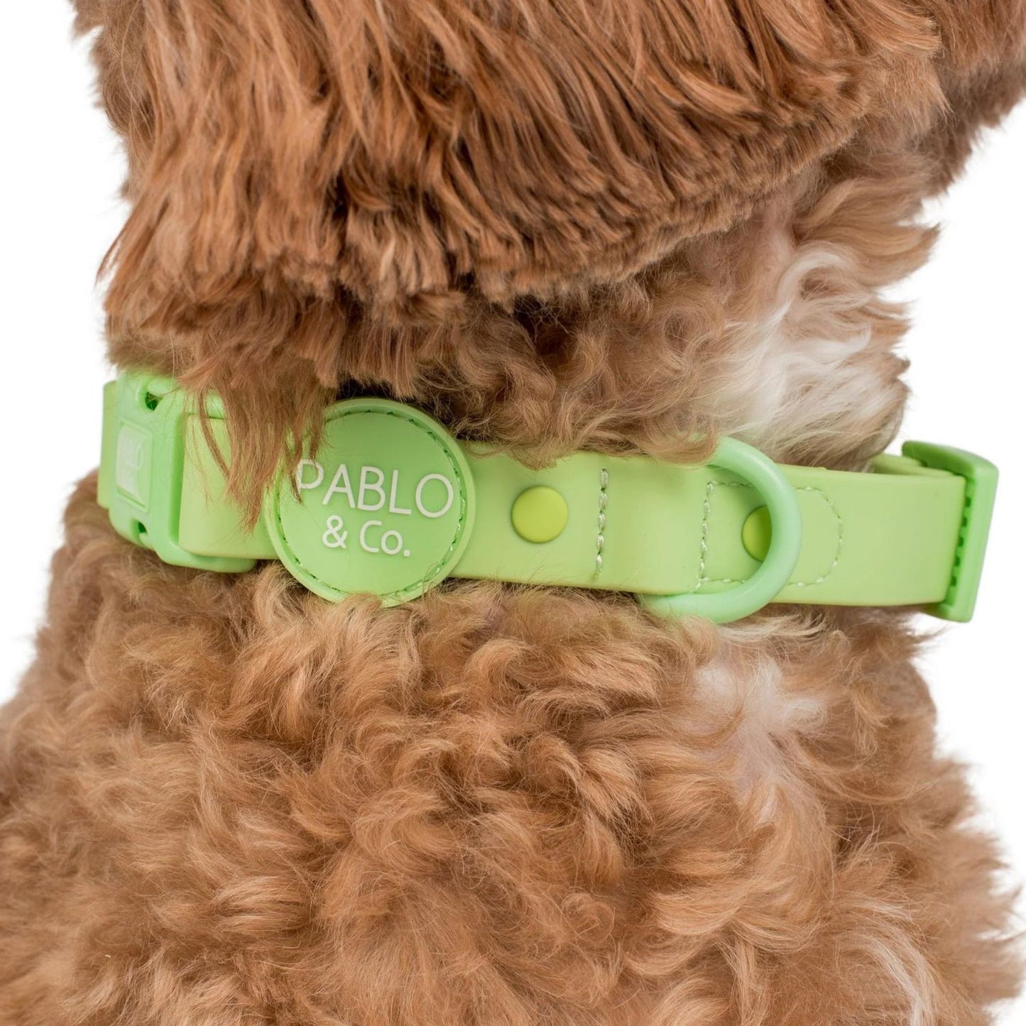 Lime Waterproof Collar