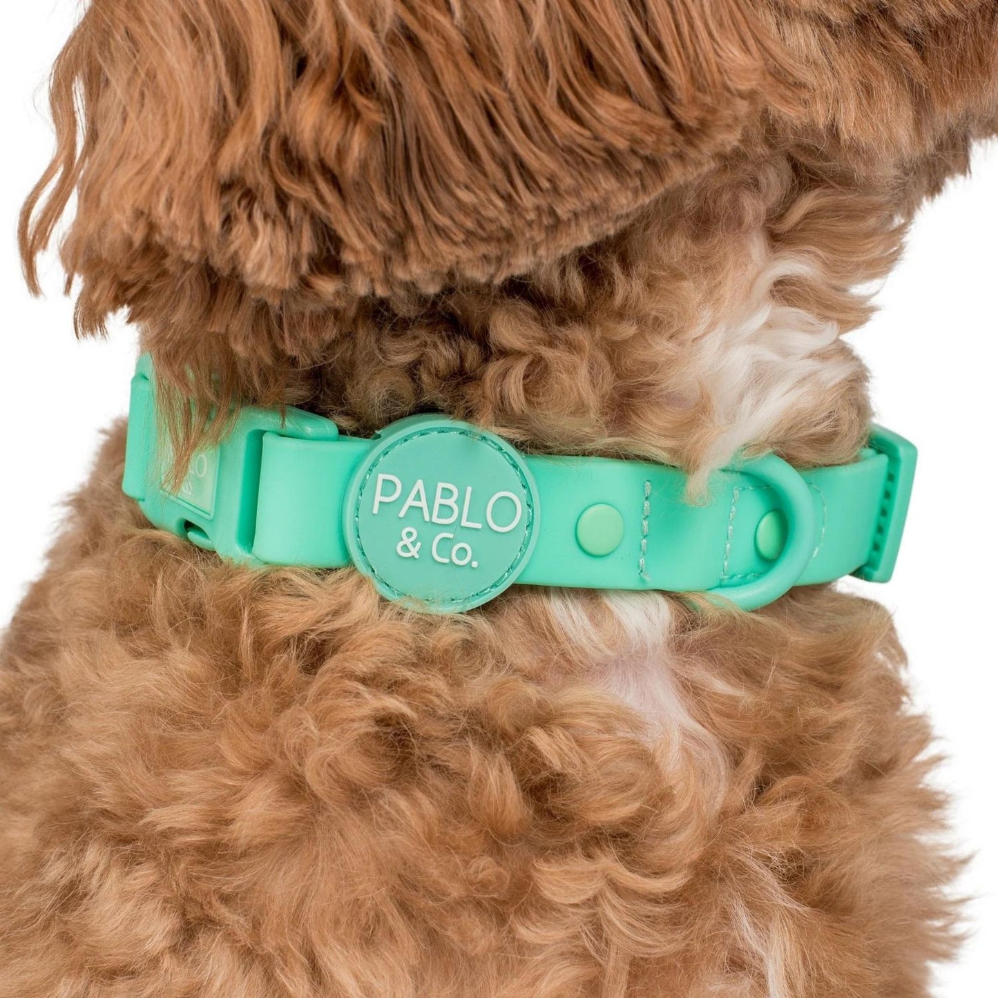 Peppermint Waterproof Collar