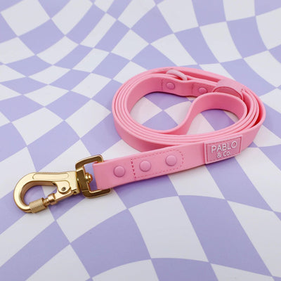 Bubblegum Waterproof Leash