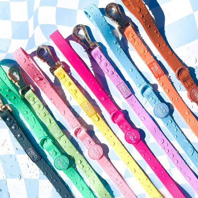 Dragonfruit Multifunction Waterproof Leash