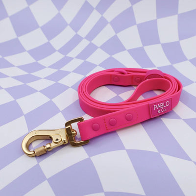 Dragonfruit Waterproof Leash