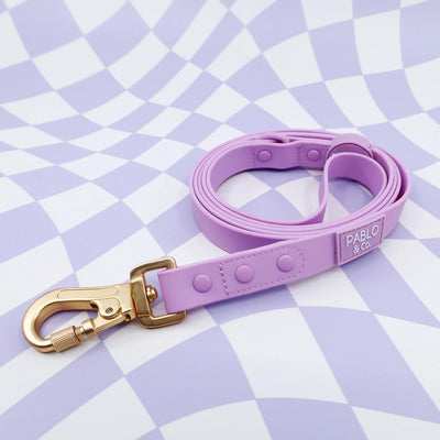 Lavender Waterproof Leash