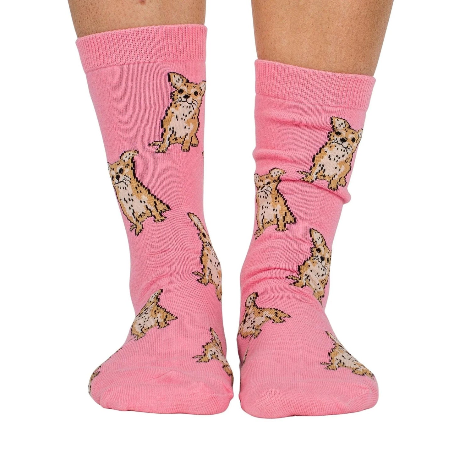 Dog Breed Socks | Chihuahua