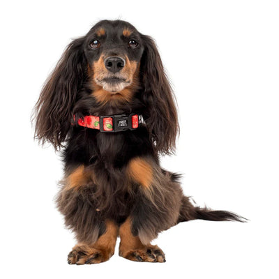 Cherries Dog Collar (New)
