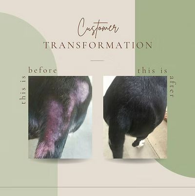 Native Magic Lemon Myrtle & Hemp Pet Balm | 100ml Tin