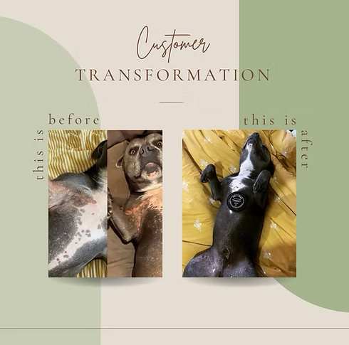 Native Magic Lemon Myrtle & Hemp Pet Balm | 100ml Tin