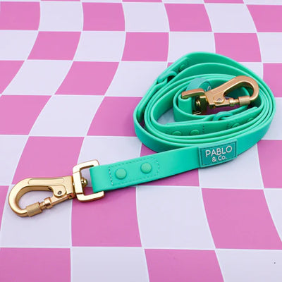 Peppermint Waterproof Leash
