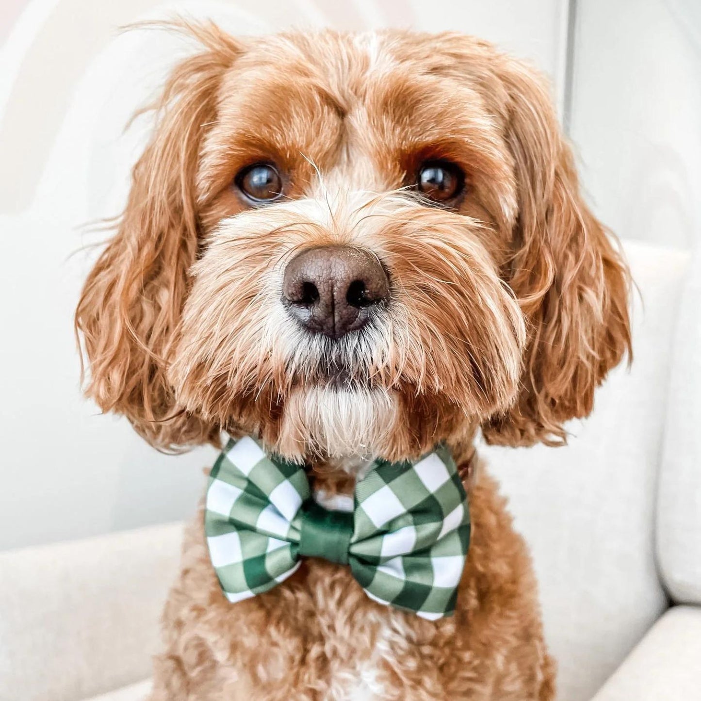 Traditional Green Gingham Xmas Bow Tie