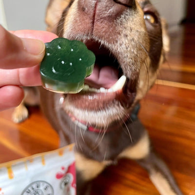 Doggy Jelly | Spinach & Green Spirulina