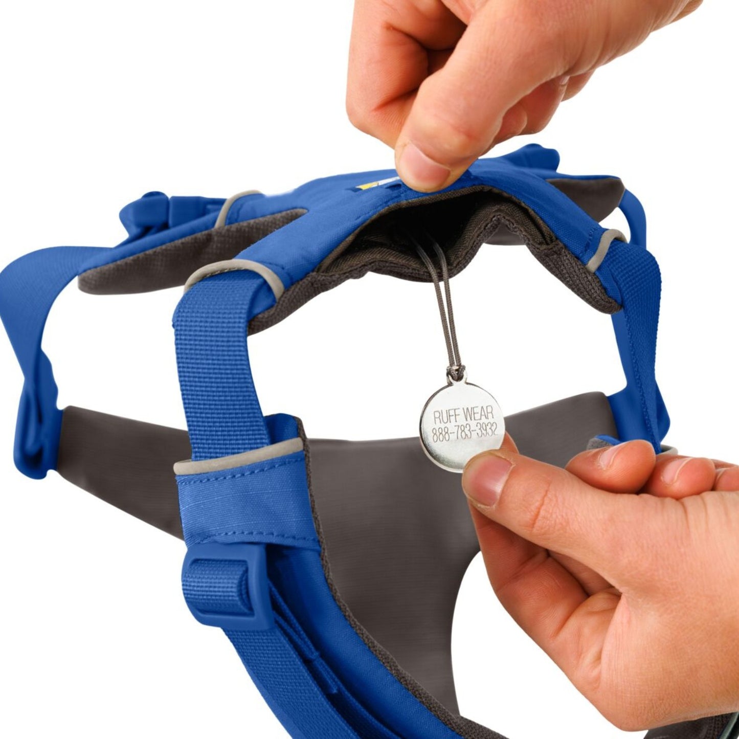 Front Range Dog Harness | Blue Pool