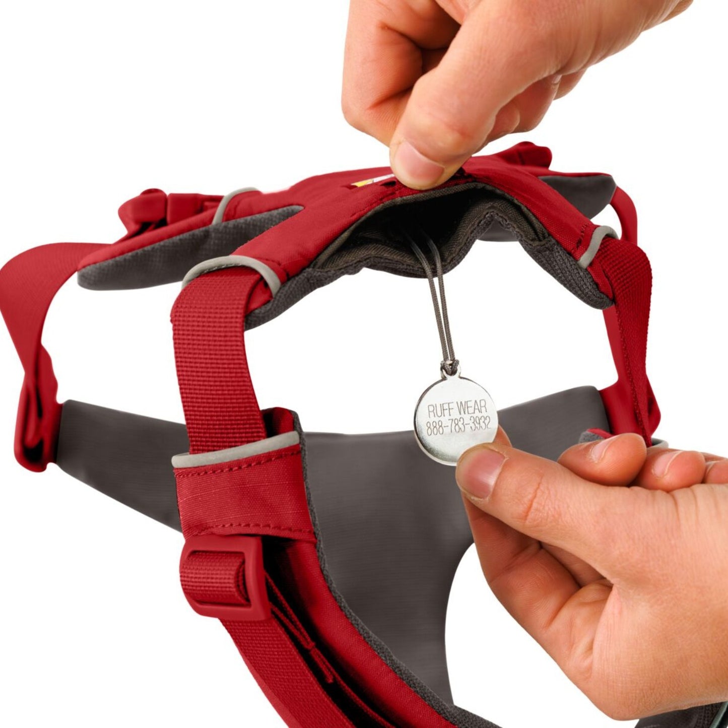 Front Range Dog Harness | Red Canyon