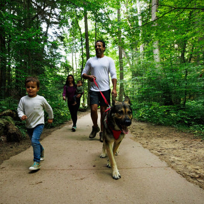 Front Range Dog Lead | Red Canyon - Peticular