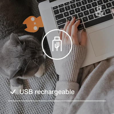 Laser Pointer Cat Toy