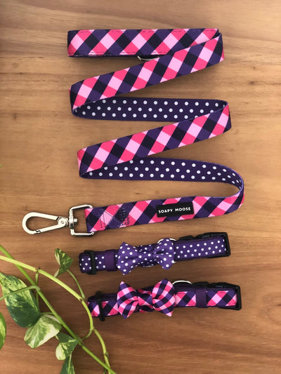 The Fashionista Leash