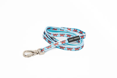 Crabbies Leash (for dogs)