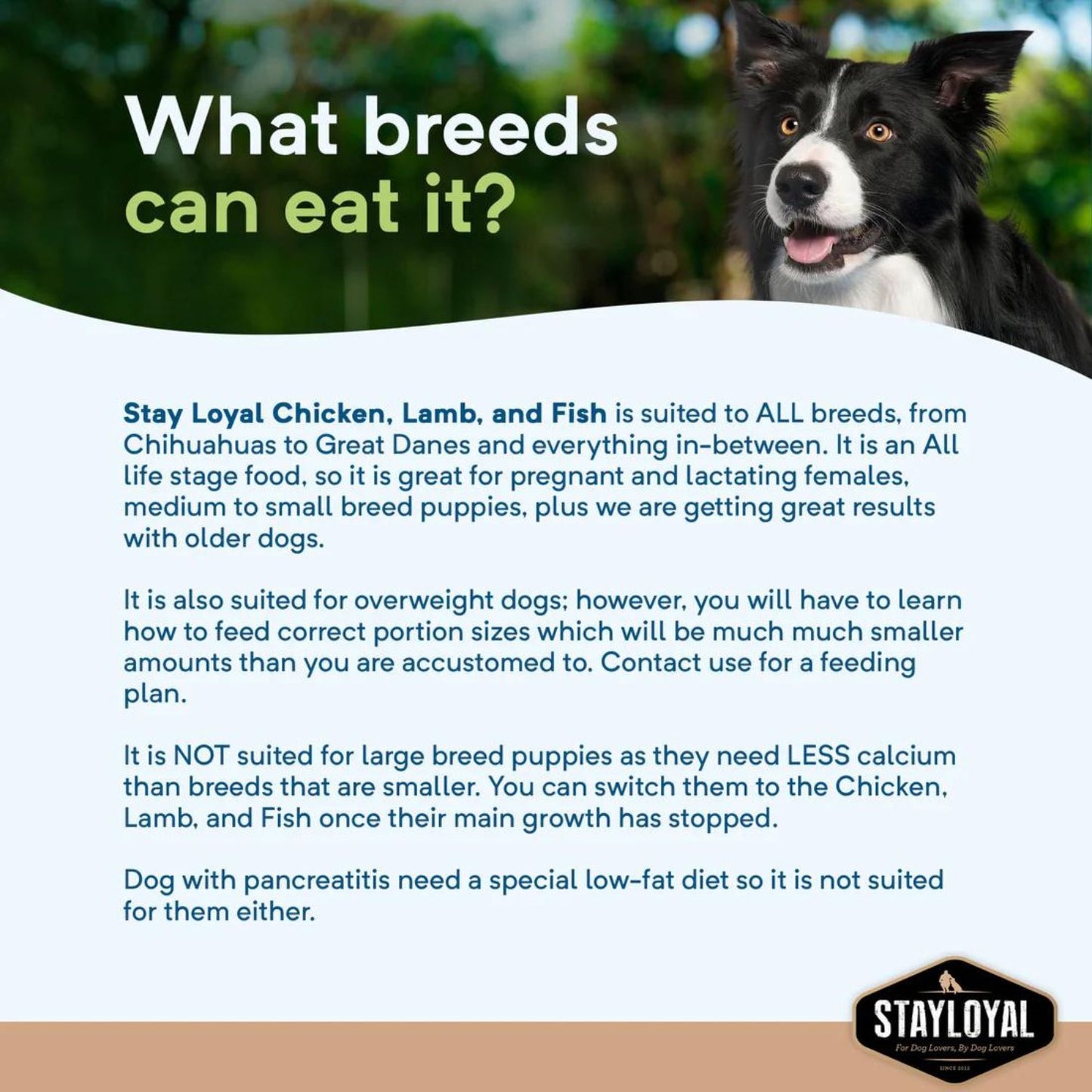 Chicken, Lamb & Fish Grain-Free Dog Food