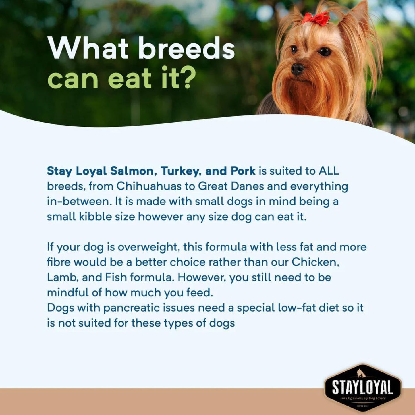 Salmon, Turkey & Pork Grain-Free Dog Food