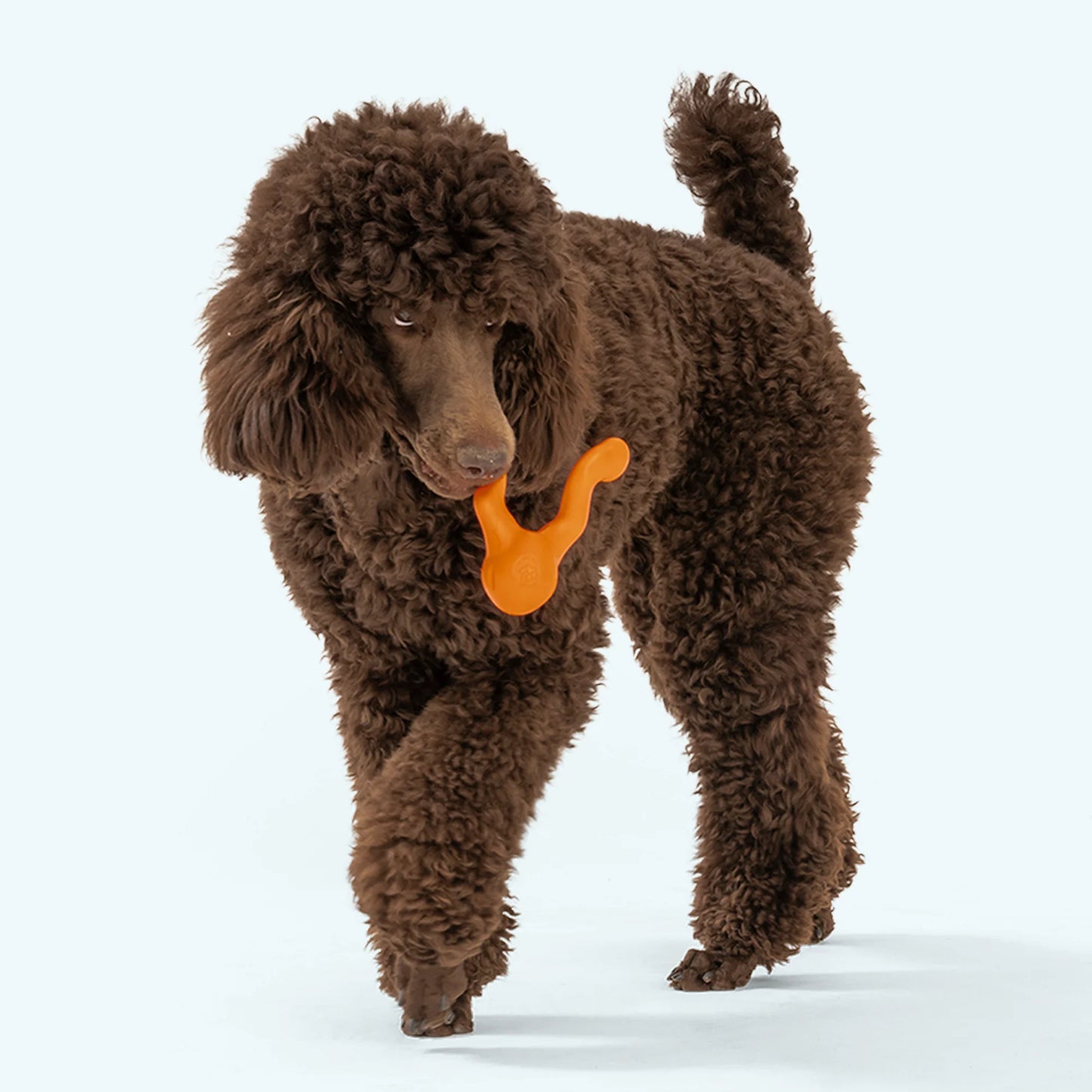 TIZZI | Dog Puzzle