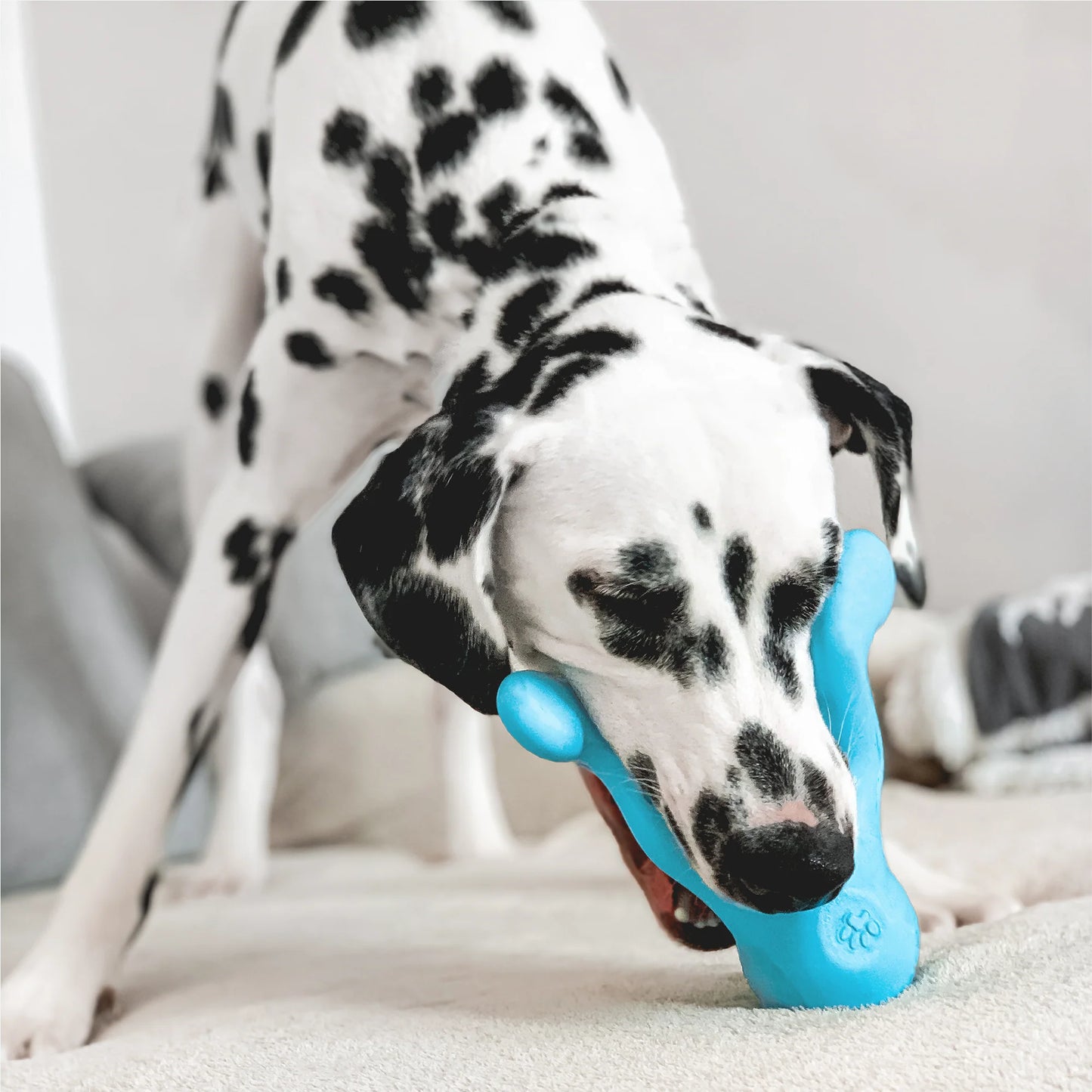 TIZZI | Dog Puzzle