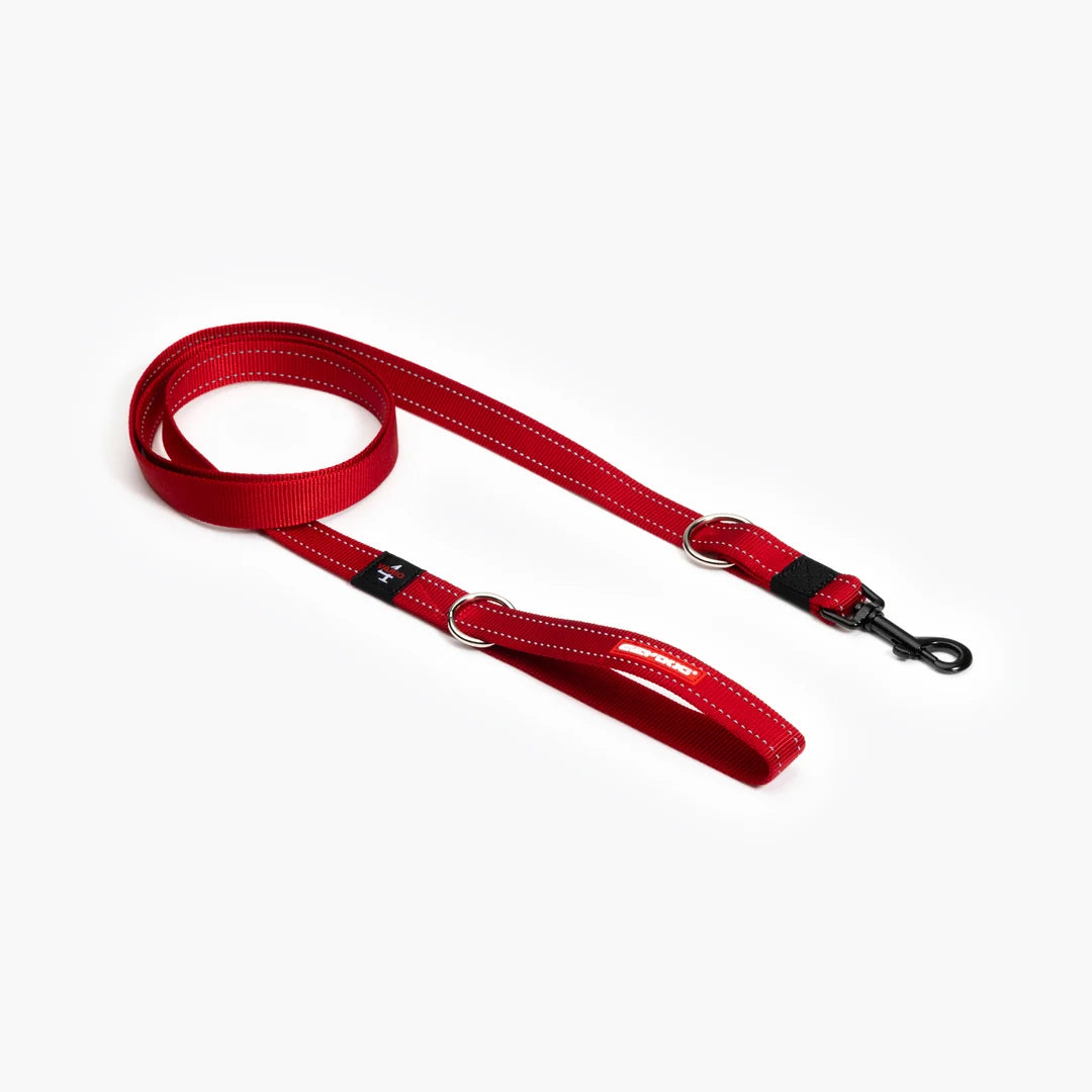 EzyDog Vario 4 Leash