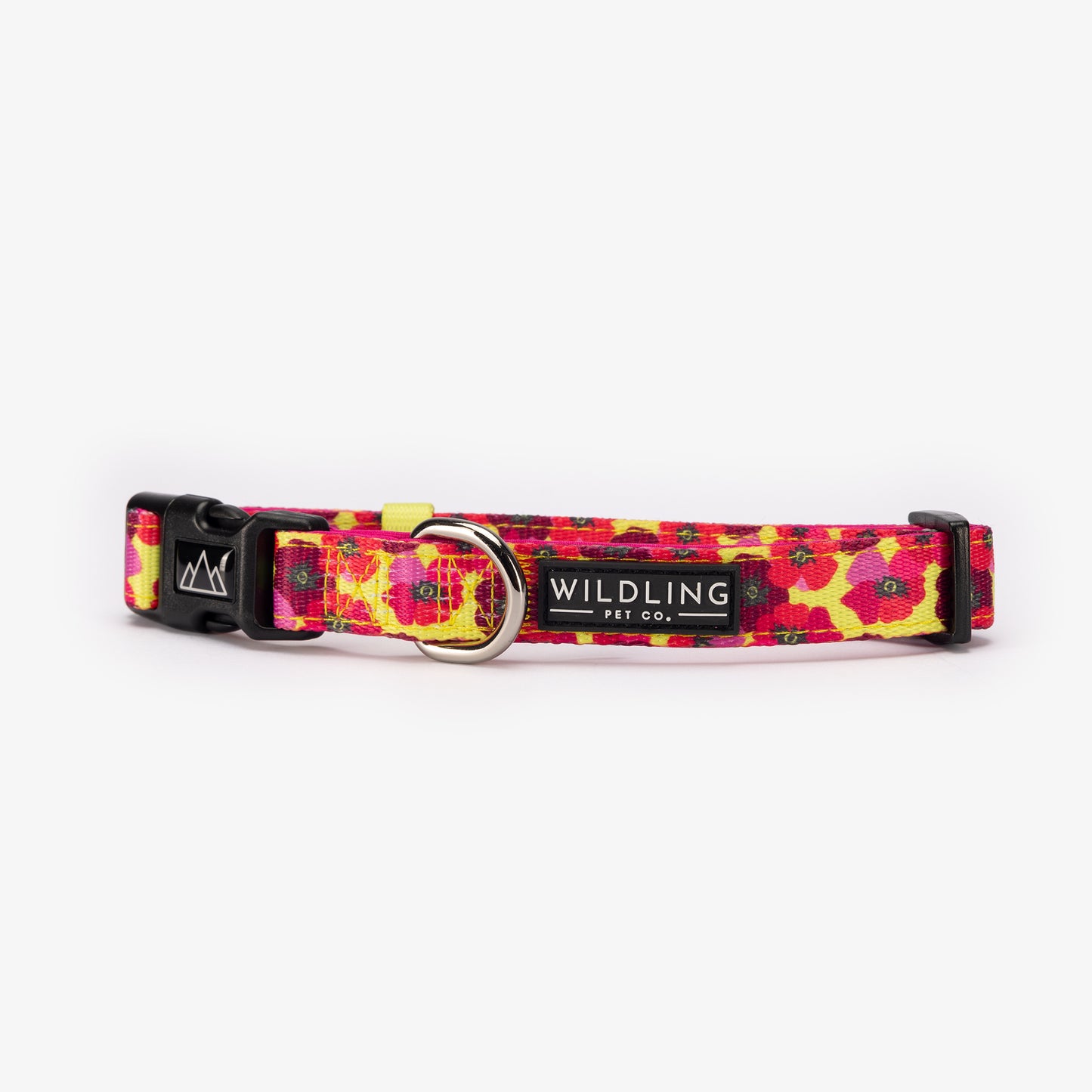 Dune Bloom Dog Collar