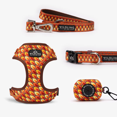 Sandy flames Dog Leash