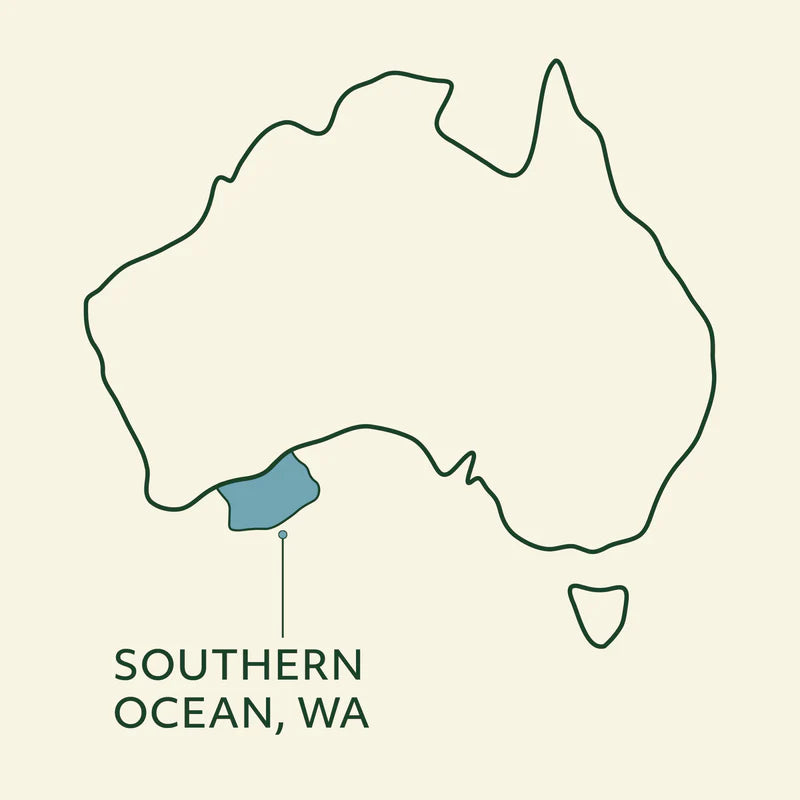 Wildkind - Shark Cartilage- 500g