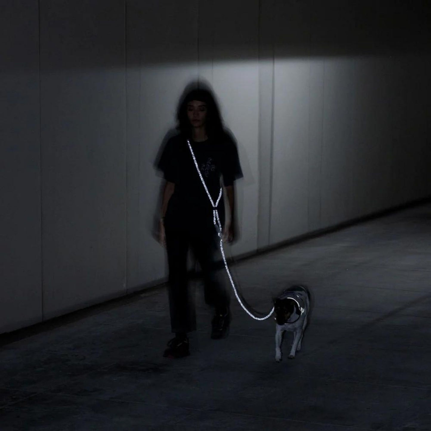 Hands-Free Dog Leash | Reflective NOX