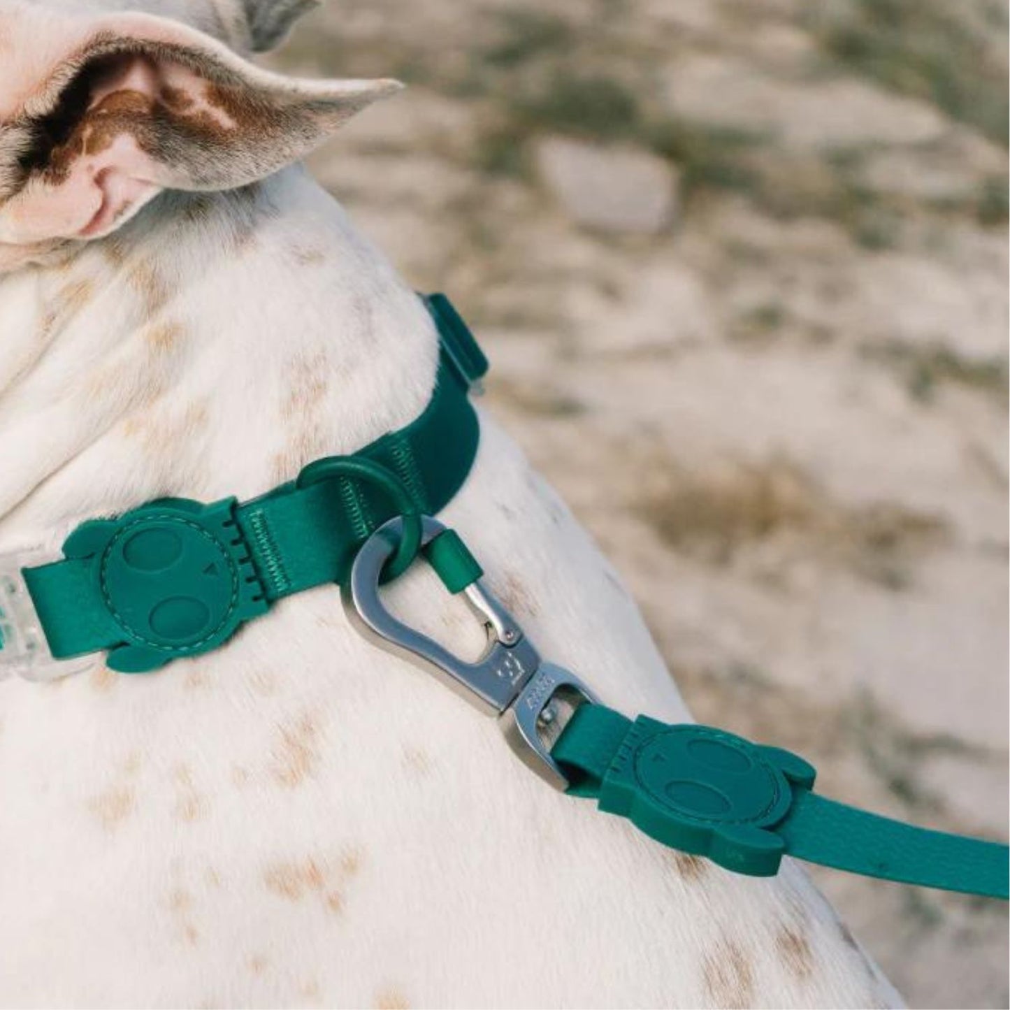 NeoPro Weatherproof Leash | Amazonia