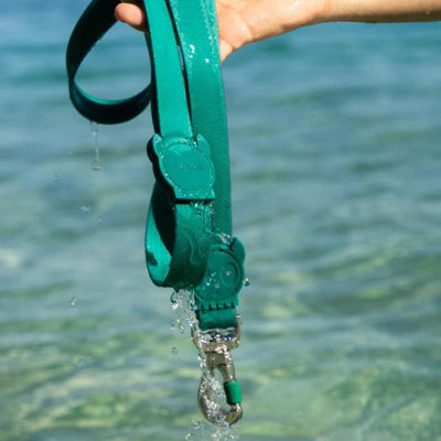 NeoPro Weatherproof Leash | Amazonia