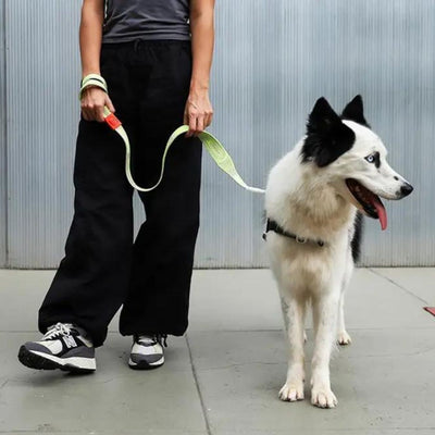 Ultra Lightweight Dog NitLeash | Gluten