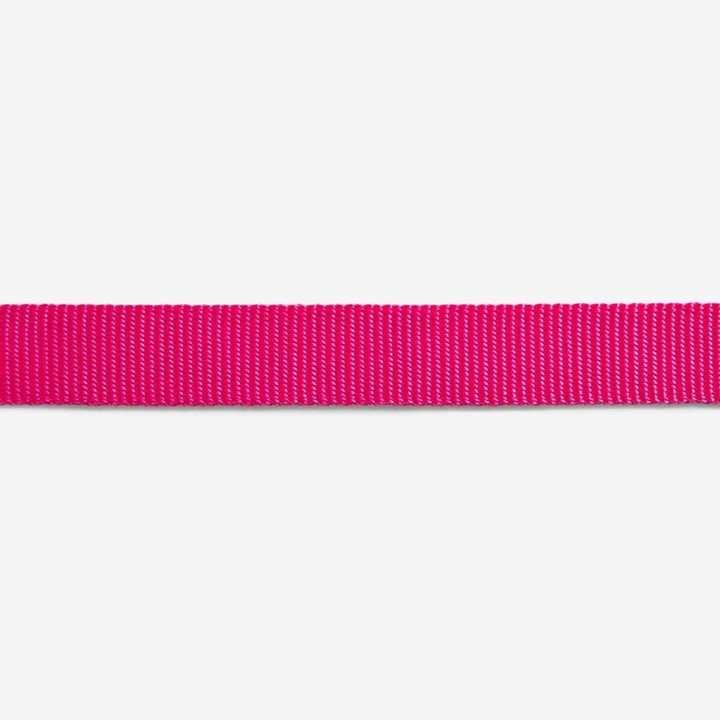 Pink LED Dog Collar