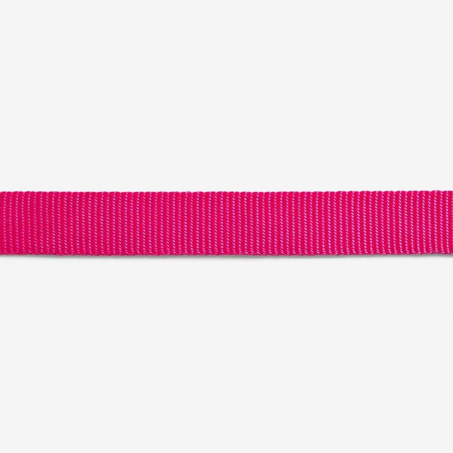 Pink LED Dog Leash