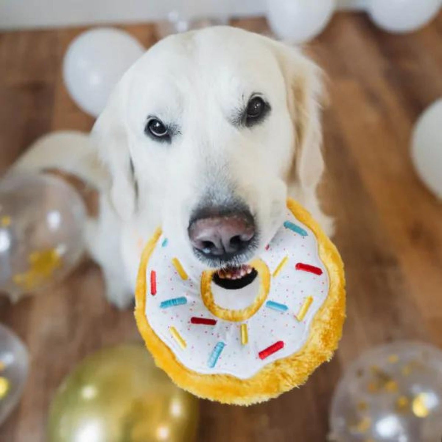 Birthday Donutz Plush Dog Toy