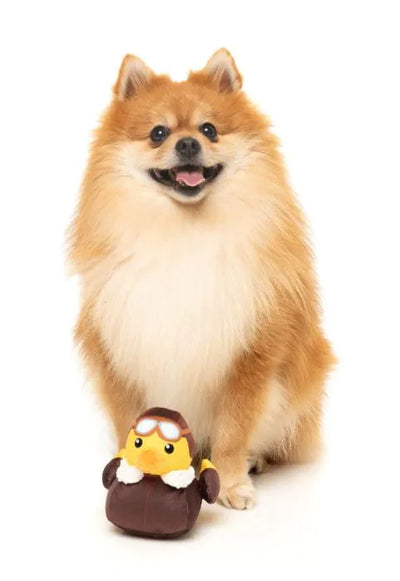 Amelia Quackhart | Small