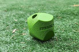 Chuckit! Erractic Ball | Single